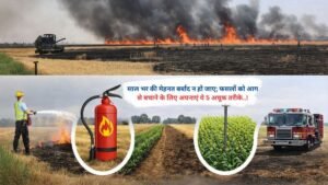 साल भर की मेहनत बर्बाद न हो जाए; फसलों को आग से बचाने के लिए अपनाएं ये 5 अचूक तरीके..!