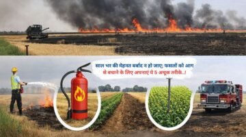 साल भर की मेहनत बर्बाद न हो जाए; फसलों को आग से बचाने के लिए अपनाएं ये 5 अचूक तरीके..!