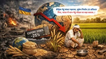 वैश्विक गेहूं संकट गहराया, यूक्रेन निर्यात 25 प्रतिशत गिरा, भारत में धान-गेहूं मॉडल पर बड़ा सवाल..!
