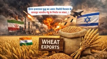 ईरान-इजरायल युद्ध का असर: रिकॉर्ड पैदावार के बावजूद भारतीय गेहूं के निर्यात पर संकट..!
