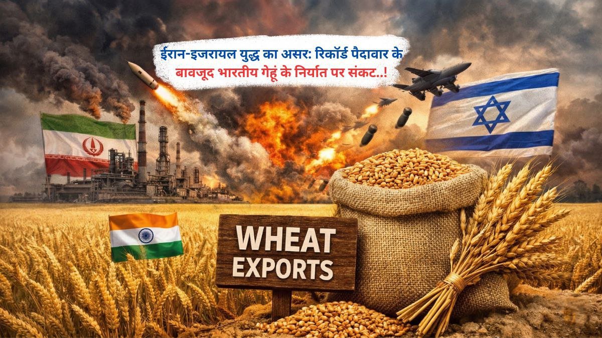 ईरान-इजरायल युद्ध का असर: रिकॉर्ड पैदावार के बावजूद भारतीय गेहूं के निर्यात पर संकट..!