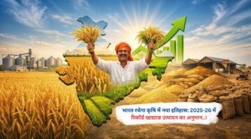 भारत रचेगा कृषि में नया इतिहास: 2025-26 में रिकॉर्ड खाद्यान्न उत्पादन का अनुमान..!