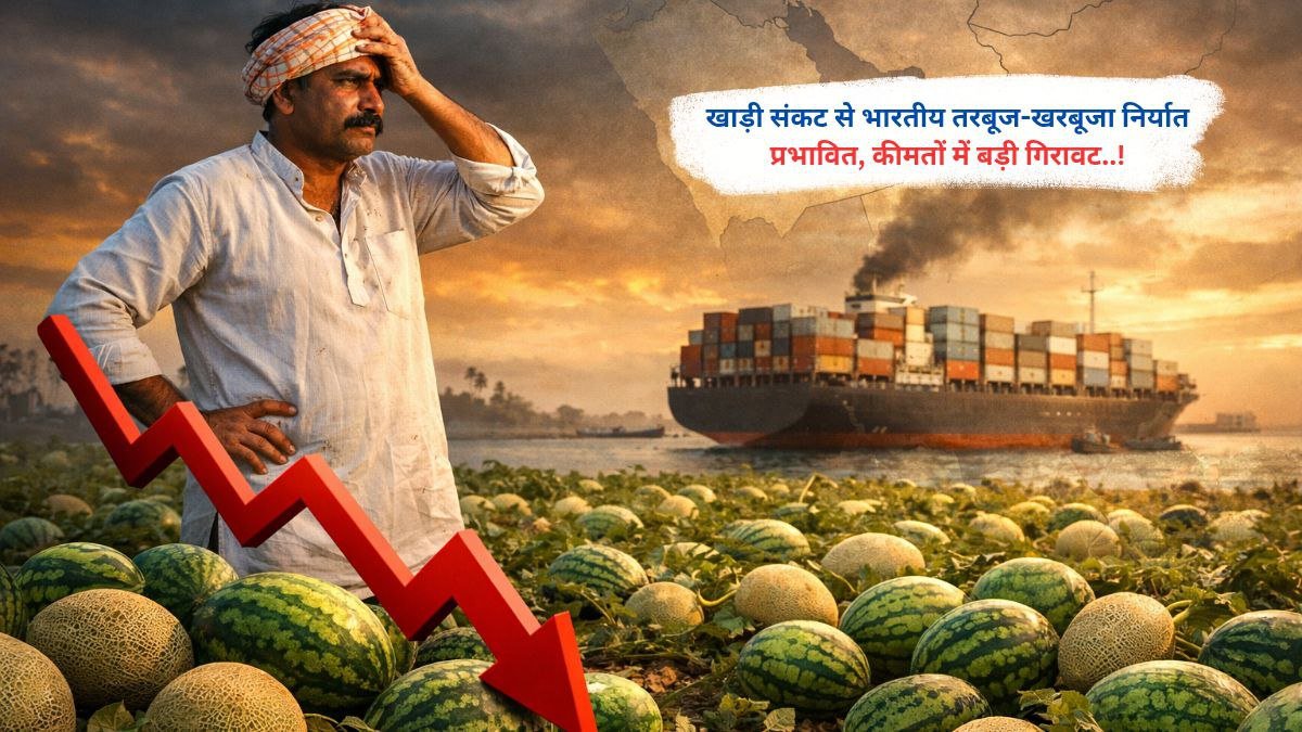 खाड़ी संकट से भारतीय तरबूज-खरबूजा निर्यात प्रभावित, कीमतों में बड़ी गिरावट..!