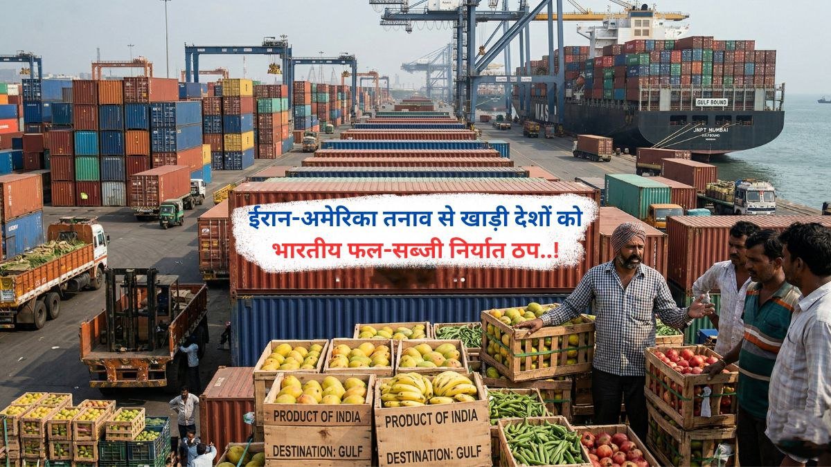 ईरान-अमेरिका तनाव से खाड़ी देशों को भारतीय फल-सब्जी निर्यात ठप..!