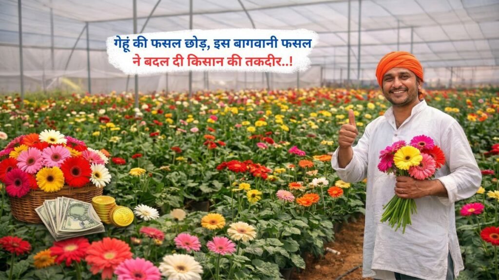 गेहूं की फसल छोड़, इस बागवानी फसल ने बदल दी किसान की तकदीर..!
