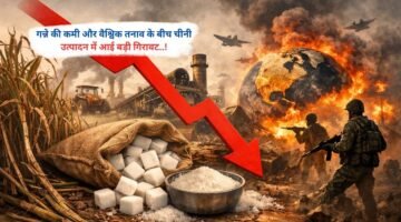 गन्ने की कमी और वैश्विक तनाव के बीच चीनी उत्पादन में आई बड़ी गिरावट..!