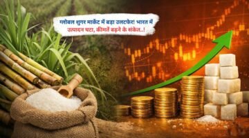 ग्लोबल शुगर मार्केट में बड़ा उलटफेर! भारत में उत्पादन घटा, कीमतें बढ़ने के संकेत..!