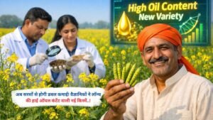 अब सरसों से होगी डबल कमाई! वैज्ञानिकों ने लॉन्च की हाई ऑयल कंटेंट वाली नई किस्में..!