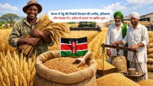 केन्या में गेहूं की रिकॉर्ड पैदावार की उम्मीद, हरियाणा और पंजाब में 1 अप्रैल से MSP पर खरीद शुरू