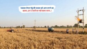 पककर तैयार गेहूं की फसल को आग लगने का खतरा, इन 5 बातों का रखें खास ध्यान..!