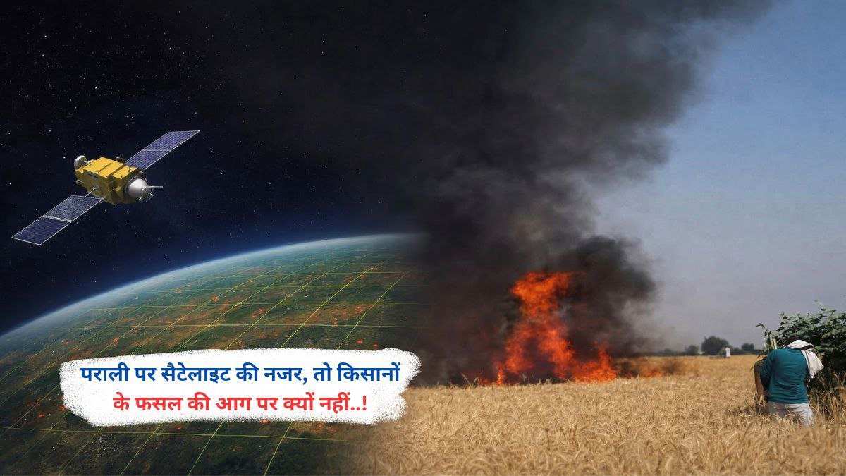 पराली पर सैटेलाइट की नजर, तो किसानों के फसल की आग पर क्यों नहीं..!