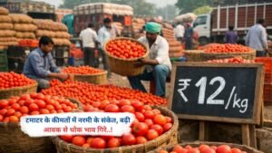 टमाटर के कीमतों में नरमी के संकेत, बढ़ी आवक से थोक भाव गिरे..!