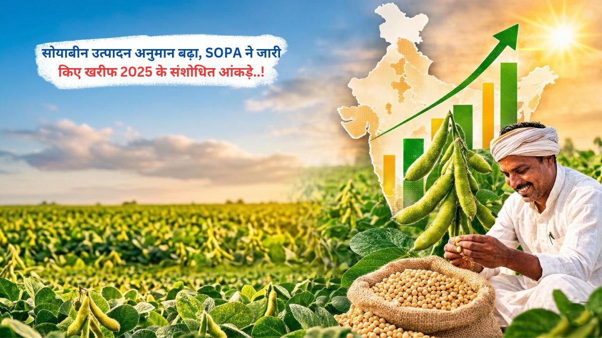सोयाबीन उत्पादन अनुमान बढ़ा, SOPA ने जारी किए खरीफ 2025 के संशोधित आंकड़े..!