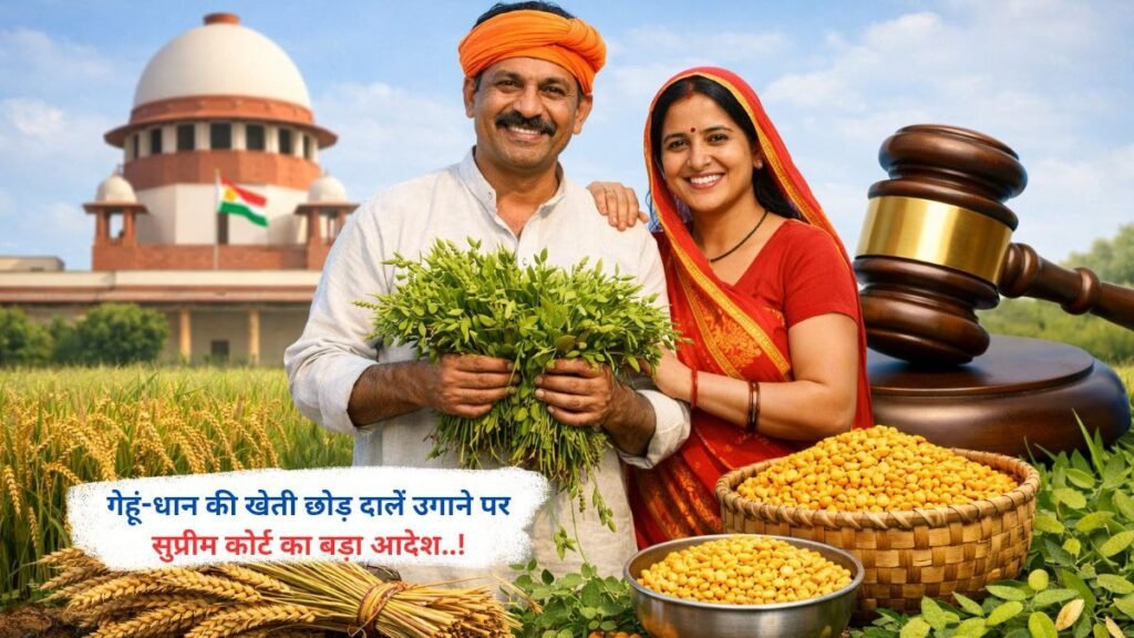 गेहूं-धान की खेती छोड़ दालें उगाने पर सुप्रीम कोर्ट का बड़ा आदेश..!