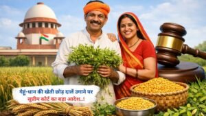 गेहूं-धान की खेती छोड़ दालें उगाने पर सुप्रीम कोर्ट का बड़ा आदेश..!