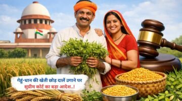 गेहूं-धान की खेती छोड़ दालें उगाने पर सुप्रीम कोर्ट का बड़ा आदेश..!