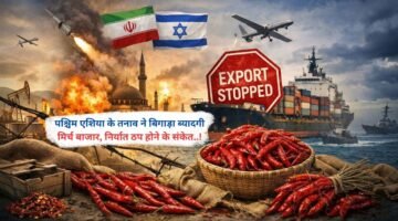 पश्चिम एशिया के तनाव ने बिगाड़ा ब्यादगी मिर्च बाजार, निर्यात ठप होने के संकेत..!