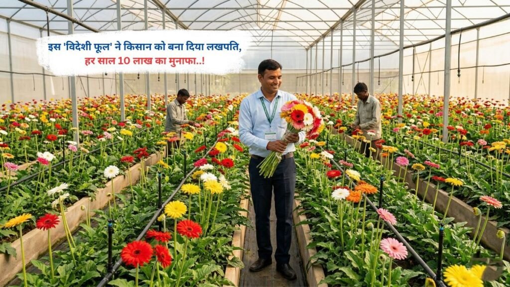 इस 'विदेशी फूल' ने किसान को बना दिया लखपति, हर साल 10 लाख का मुनाफा..!