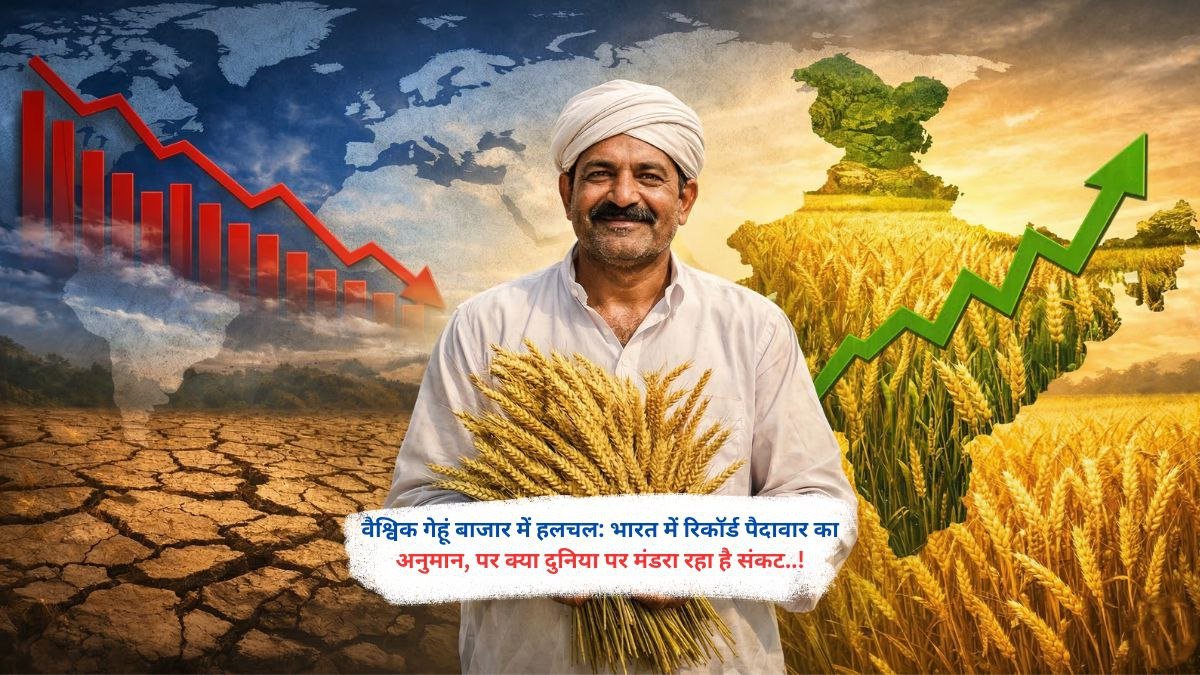 वैश्विक गेहूं बाजार में हलचल: भारत में रिकॉर्ड पैदावार का अनुमान, पर क्या दुनिया पर मंडरा रहा है संकट..!