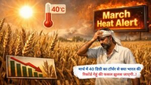 मार्च में 40 डिग्री का टॉर्चर से क्या भारत की रिकॉर्ड गेहूं की फसल झुलस जाएगी..!