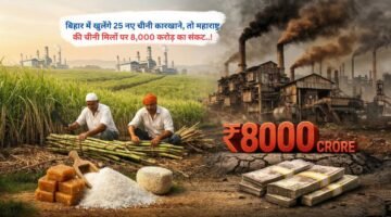 बिहार में खुलेंगे 25 नए चीनी कारखाने, तो महाराष्ट्र की मिलों पर 8,000 करोड़ का संकट..!