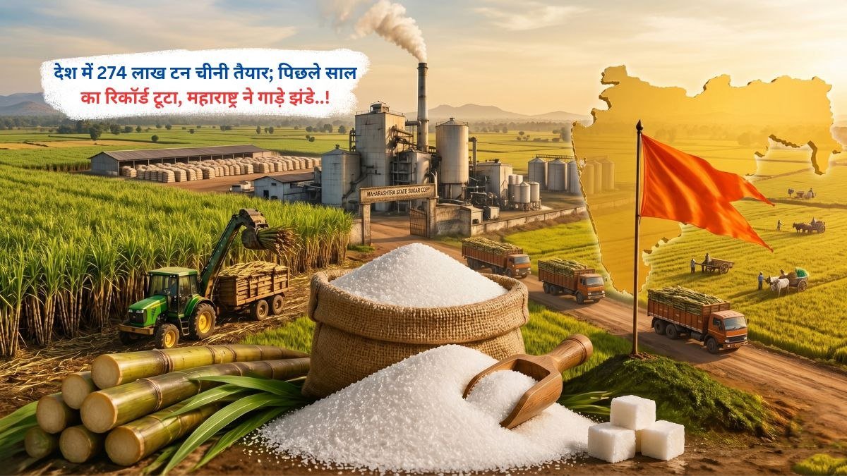 देश में 274 लाख टन चीनी तैयार, पिछले साल का रिकॉर्ड टूटा, महाराष्ट्र ने गाड़े झंडे