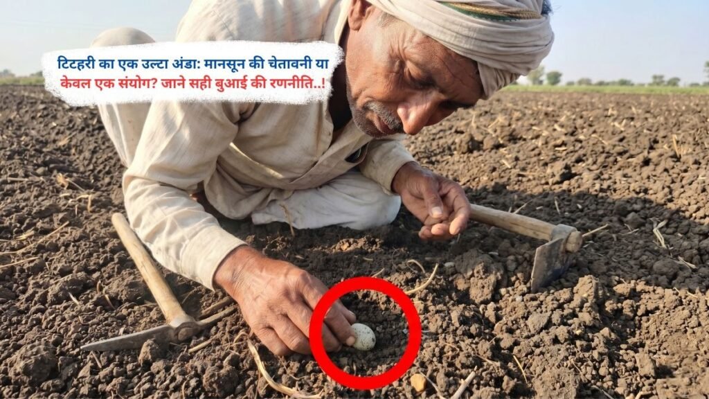 टिटहरी का एक उल्टा अंडा: मानसून की चेतावनी या केवल एक संयोग? जाने सही बुआई की रणनीति