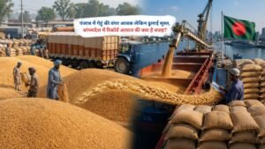 पंजाब में गेहूं की बंपर आवक लेकिन ढुलाई सुस्त, बांग्लादेश में रिकॉर्ड आयात की क्या है वजह?