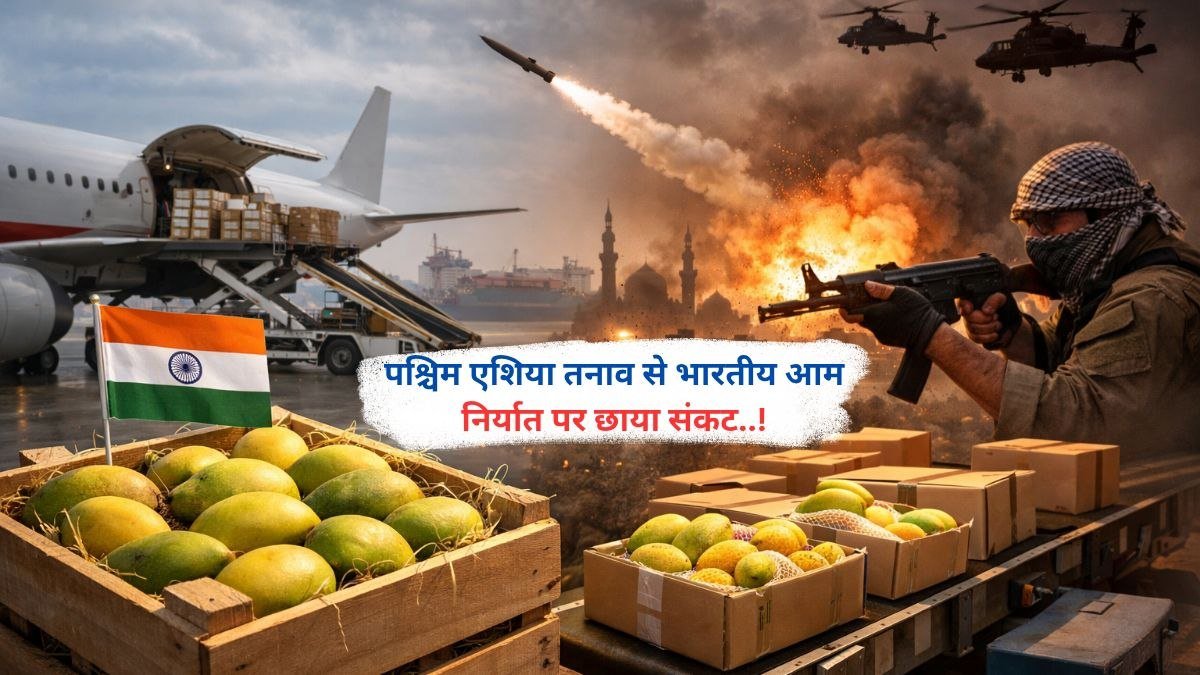 पश्चिम एशिया तनाव से भारतीय आम निर्यात पर छाया संकट