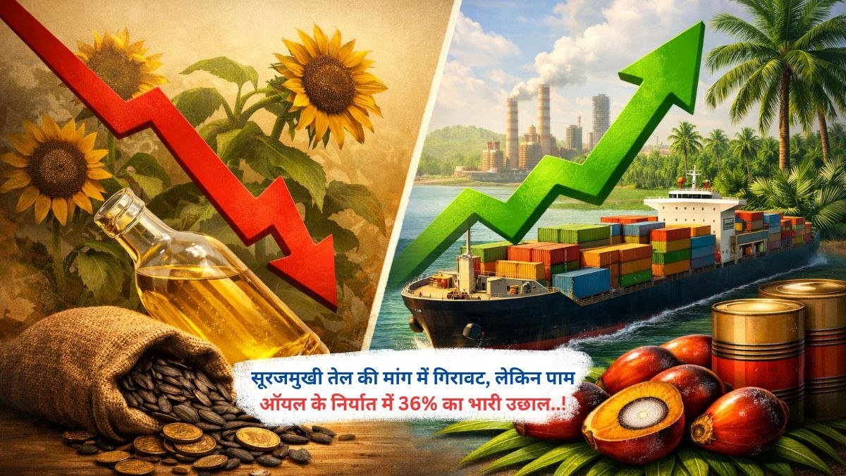 सूरजमुखी तेल की मांग में गिरावट, लेकिन पाम ऑयल के निर्यात में 36% का भारी उछाल