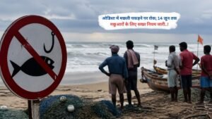 ओडिशा में मछली पकड़ने पर रोक, 14 जून तक मछुआरों के लिए सख्त नियम जारी