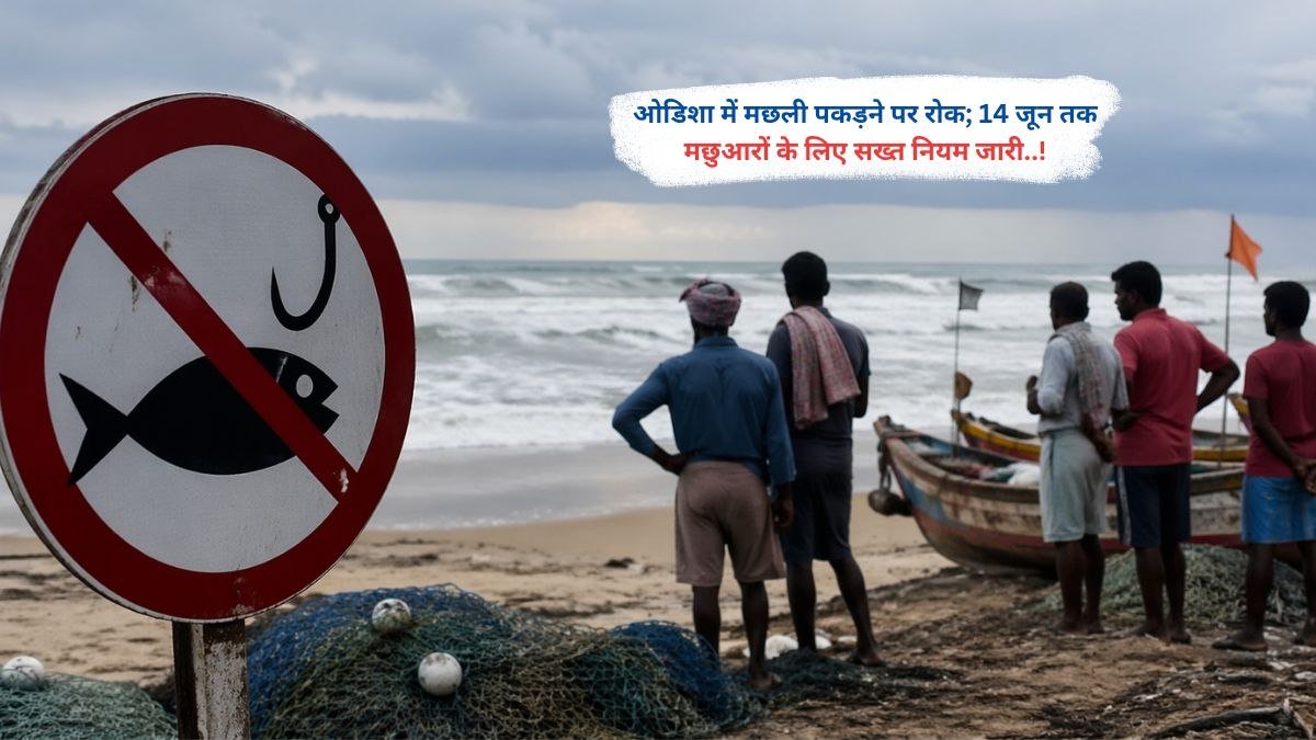 ओडिशा में मछली पकड़ने पर रोक, 14 जून तक मछुआरों के लिए सख्त नियम जारी