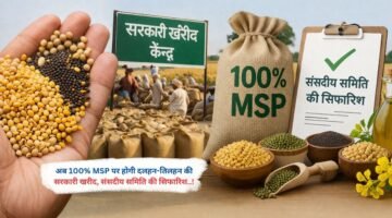 अब 100% MSP पर होगी दलहन-तिलहन की सरकारी खरीद, संसदीय समिति की सिफारिश