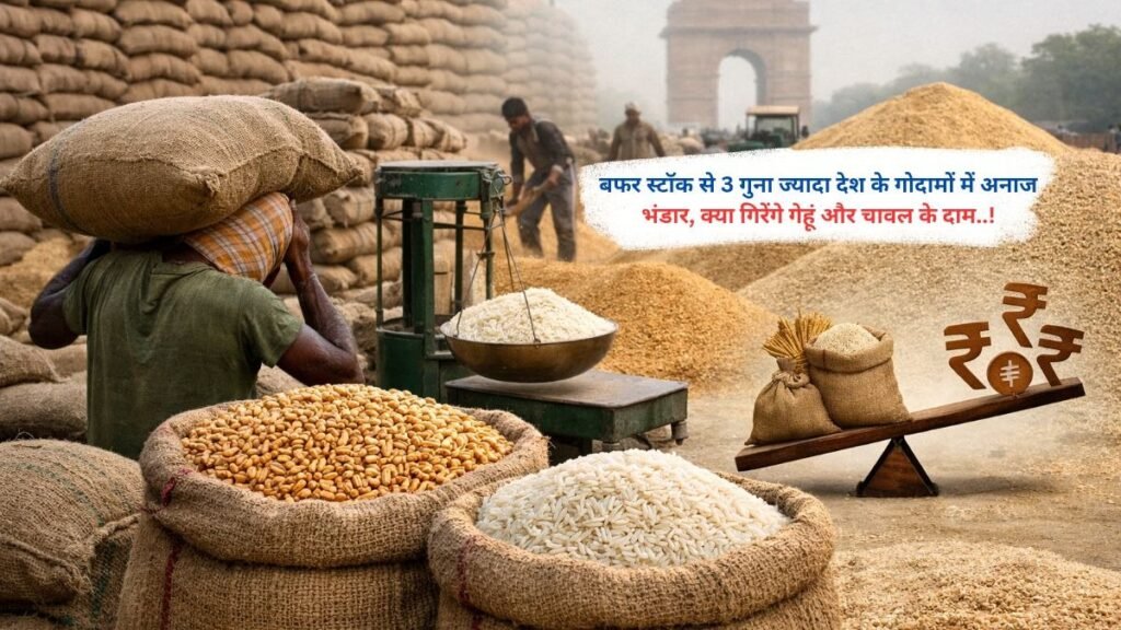 बफर स्टॉक से 3 गुना ज्यादा देश के गोदामों में अनाज भंडार, क्या गिरेंगे गेहूं और चावल के दाम