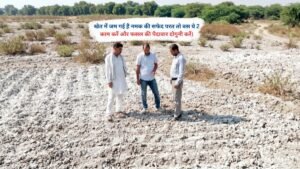 खेत में जम गई है नमक की सफेद परत तो बस ये 2 काम करें और फसल की पैदावार दोगुनी करें।