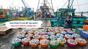 मत्स्य निर्यात में भारत की 'महा-छलांग': ₹68,000 करोड़ का आंकड़ा पार