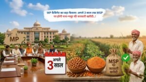 MP कैबिनेट का बड़ा फैसला: अगले 3 साल तक MSP पर होगी चना-मसूर की सरकारी खरीदी