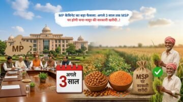 MP कैबिनेट का बड़ा फैसला: अगले 3 साल तक MSP पर होगी चना-मसूर की सरकारी खरीदी