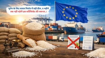 यूरोप के लिए चावल निर्यात में बड़ी ढील, 6 महीने तक नहीं पड़ेगी इस सर्टिफिकेट की जरूरत