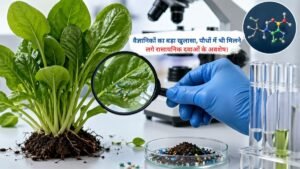 वैज्ञानिकों का बड़ा खुलासा, पौधों में भी मिलने लगे रासायनिक दवाओं के अवशेष।