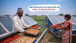 बिहार में सोलर ड्रायर पर 40 लाख तक की भारी सब्सिड, अब नहीं बर्बाद होगी फसल