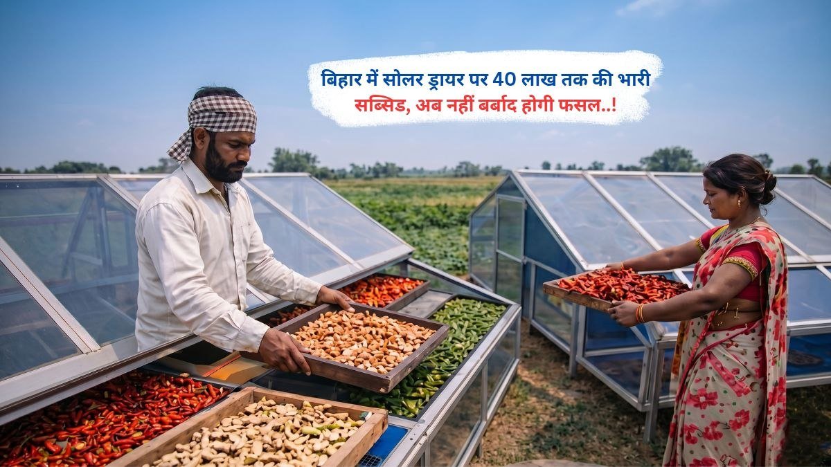 बिहार में सोलर ड्रायर पर 40 लाख तक की भारी सब्सिड, अब नहीं बर्बाद होगी फसल