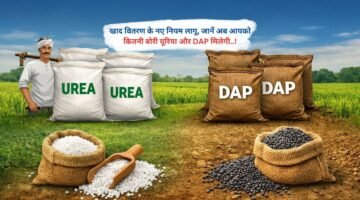 खाद वितरण के नए नियम लागू, जानें अब आपको कितनी बोरी यूरिया और DAP मिलेगी