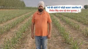गन्ने की खेती में 'चौड़ी कतार' तकनीक से निर्मल सिंह कमा रहे बंपर मुनाफा