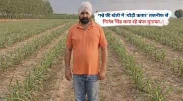 गन्ने की खेती में 'चौड़ी कतार' तकनीक से निर्मल सिंह कमा रहे बंपर मुनाफा