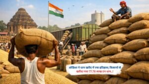 ओडिशा ने धान खरीद में रचा इतिहास; किसानों से खरीदा गया 77.78 लाख टन धान