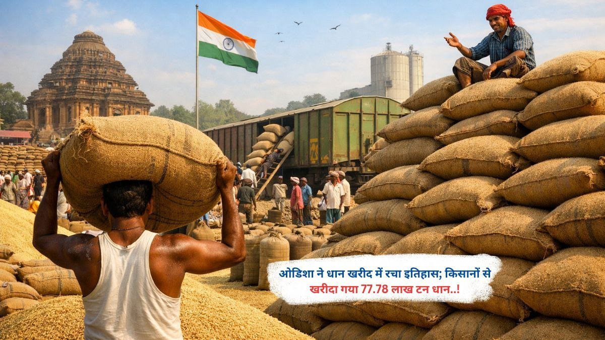 ओडिशा ने धान खरीद में रचा इतिहास; किसानों से खरीदा गया 77.78 लाख टन धान