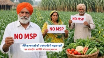 जैविक फसलों को एमएसपी से बाहर रखने पर संसदीय समिति ने उठाए सवाल..!