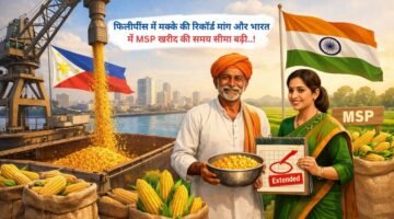 फिलीपींस में मक्के की रिकॉर्ड मांग और भारत में MSP खरीद की समय सीमा बढ़ी