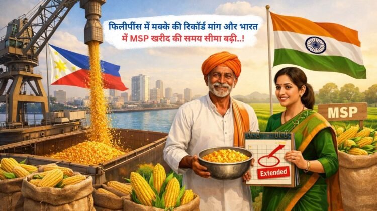 फिलीपींस में मक्के की रिकॉर्ड मांग और भारत में MSP खरीद की समय सीमा बढ़ी